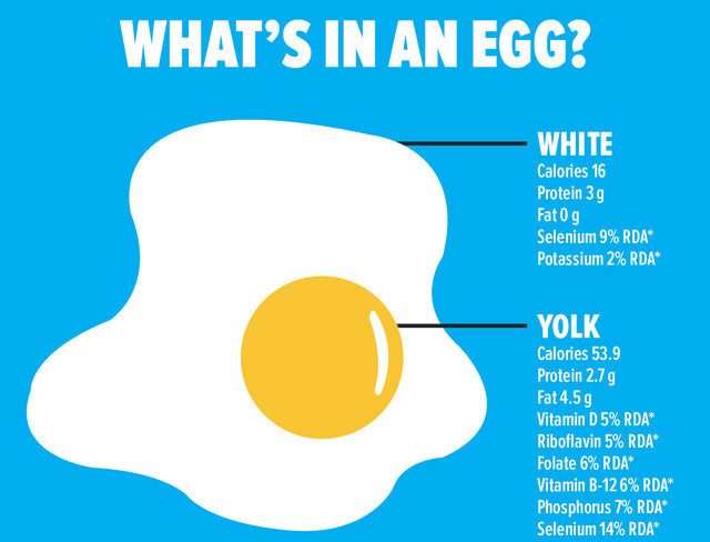 Don't be scared of Eggs Yolks!