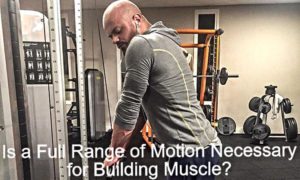 Is a Full Range of Motion Necessary for Building Muscle?