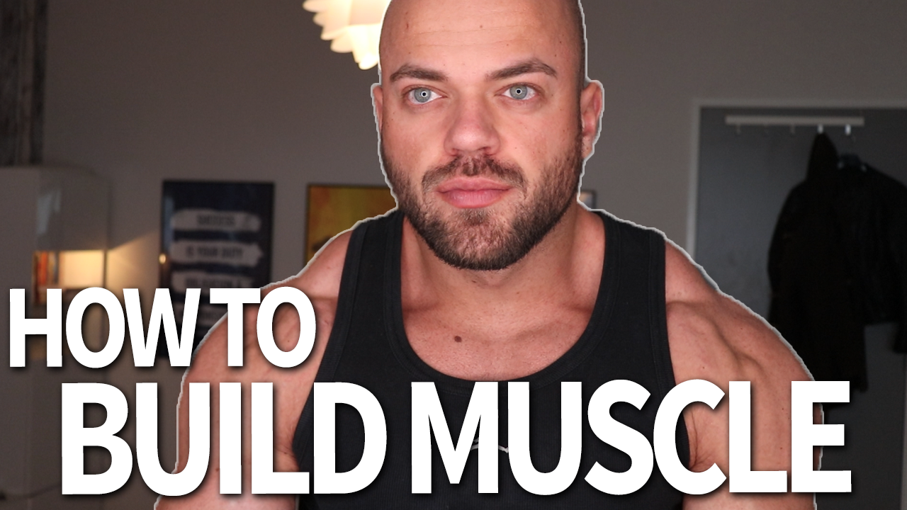 How To Build Muscle For Beginners (3 STEPS) THUMBNAIl Stefan Lamers